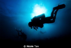 Divers in the blue
A silhouette portraiture of the dive ... by Nicole Tan 
